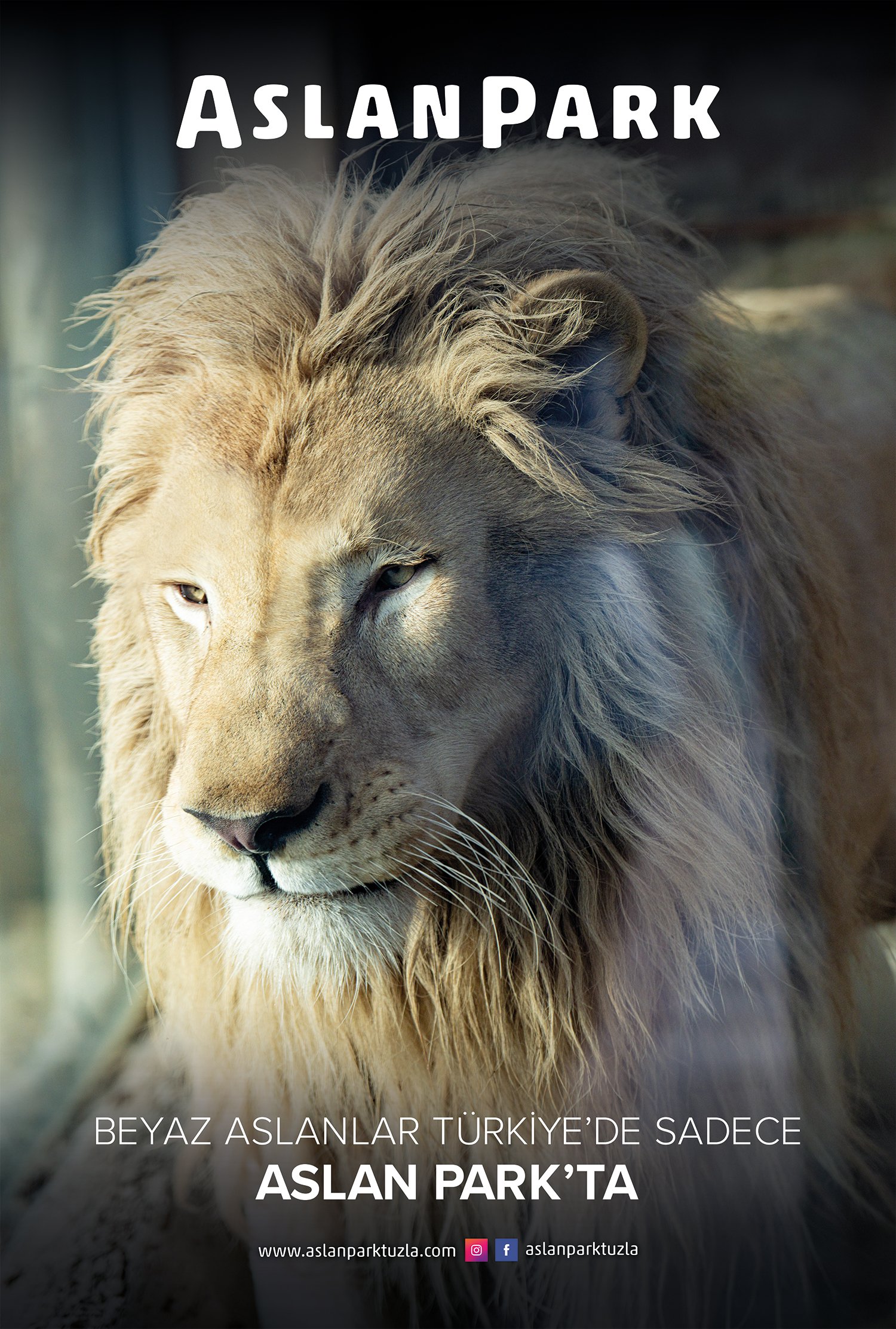 Aslan Park, ViaSea Akvaryum ve ViaSea Tema Park Raket Tasarımları