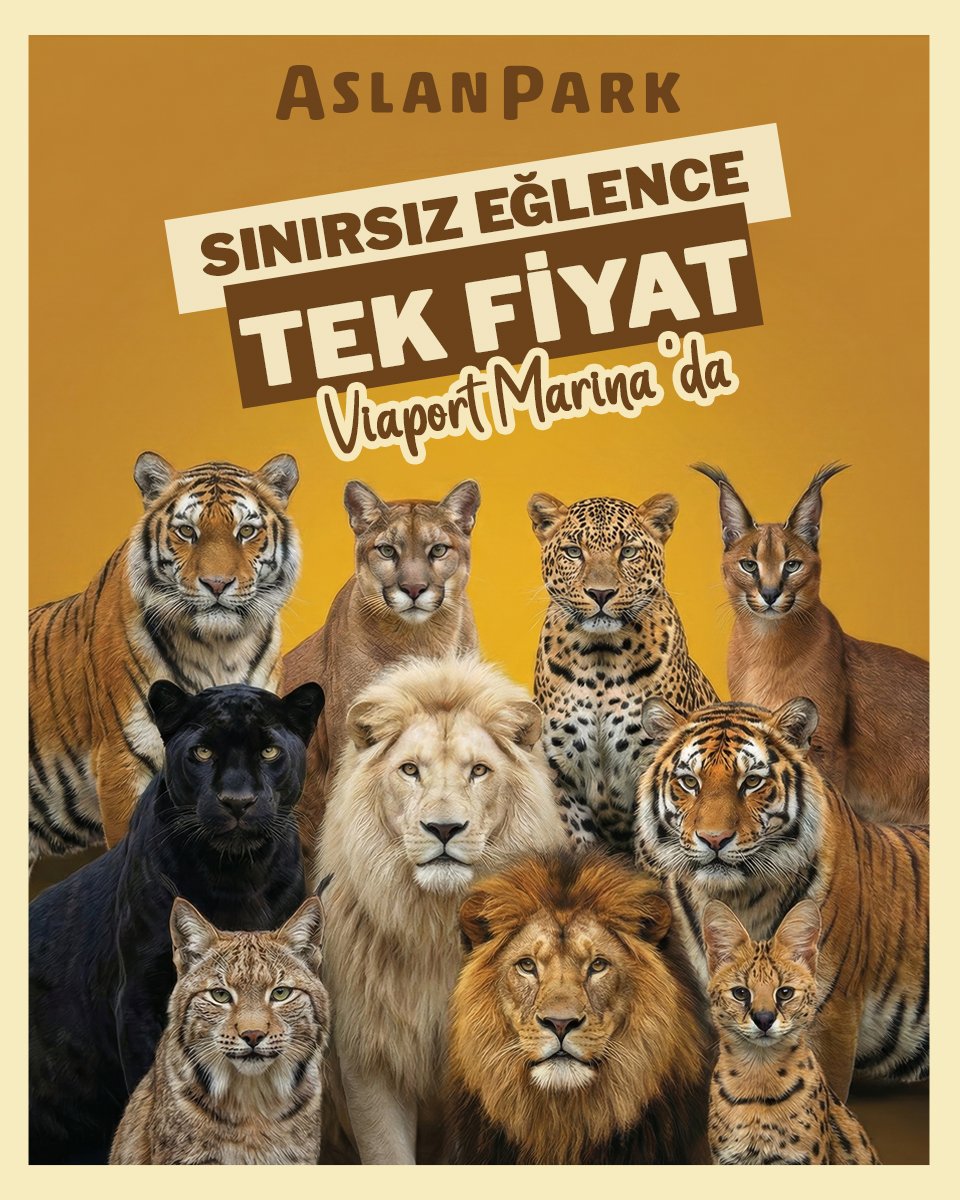 Aslan Park "The Land of Big Cats" Açıkhava Kampanyası
